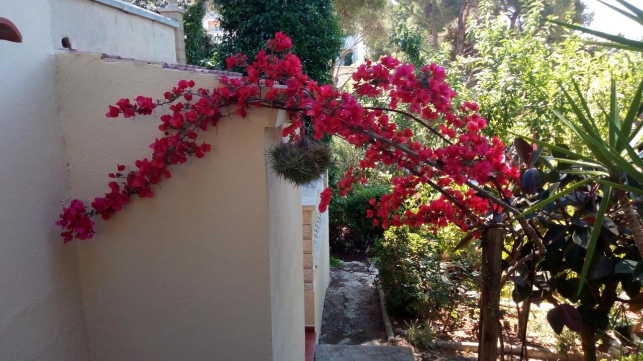 Casa Montse Villa Cala Galdana  Exterior photo